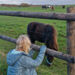 Friedrichskoog_Priska Lachmann (10)